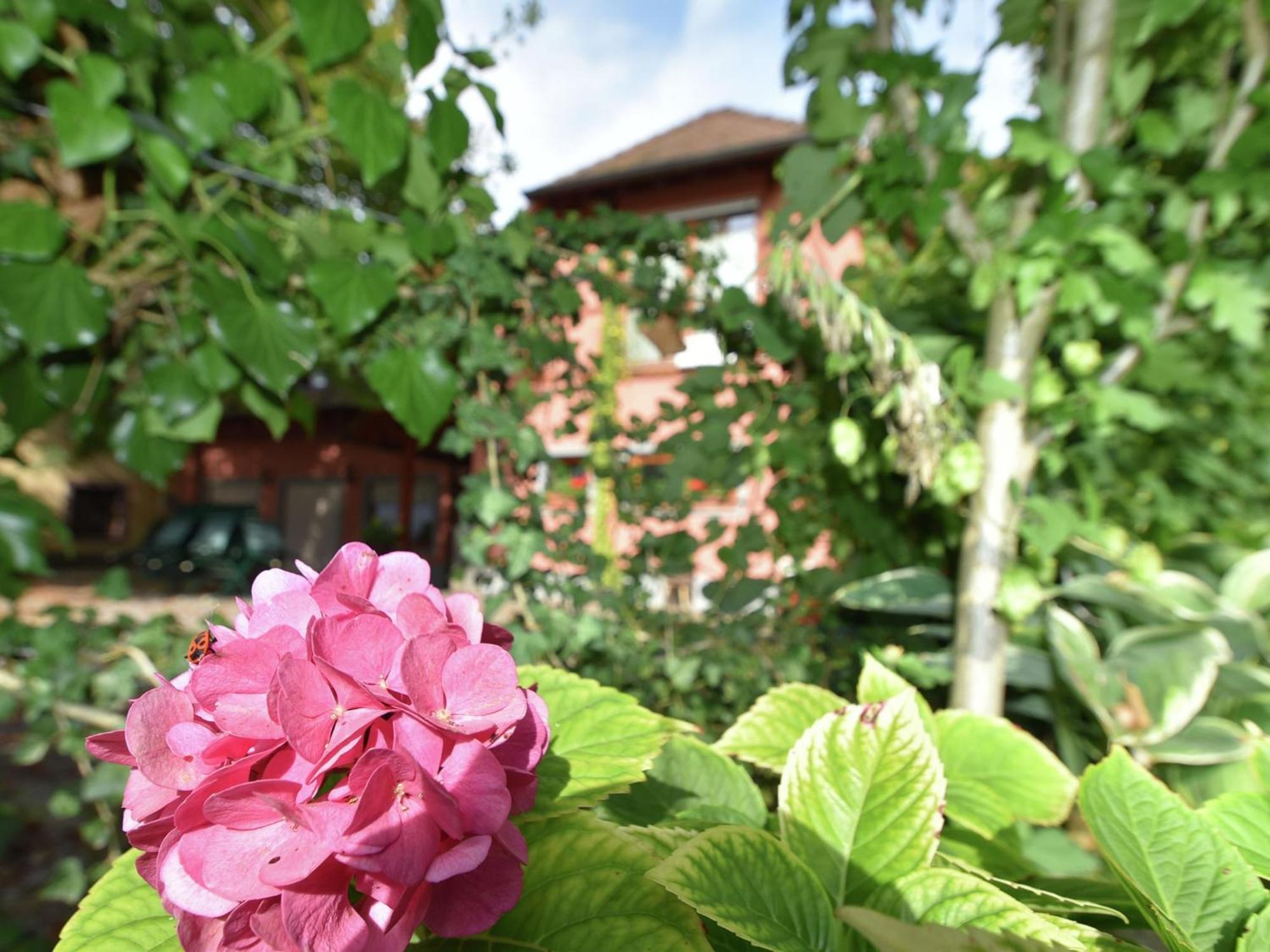 Countryside Apartment With Garden Schallstadt Exterior foto